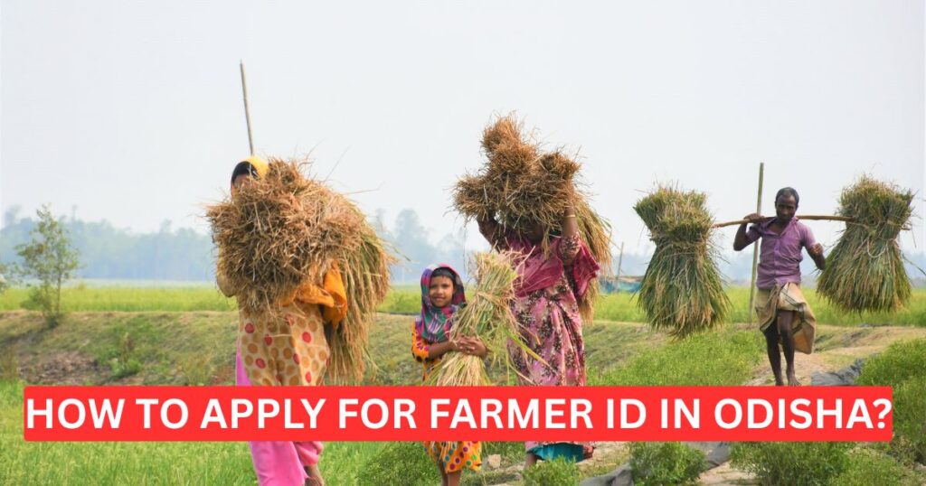 Farmer ID Apply Online in Odisha